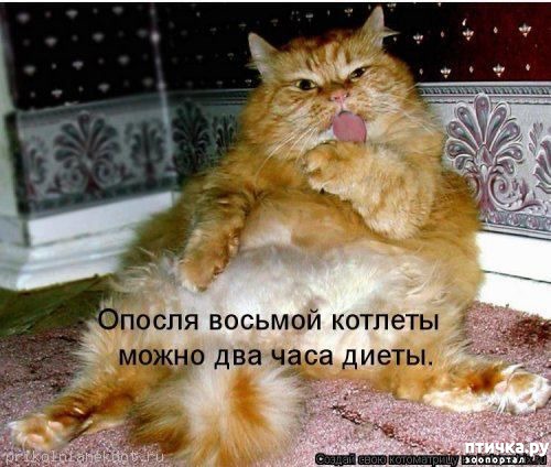 ���� 19: ��������� ��� ������ ����� ����