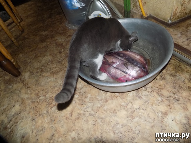 ���� 20: ��������� ��� ������ ����� ����