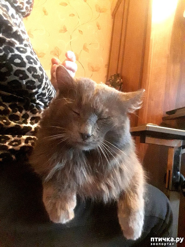 ���� 1: �������