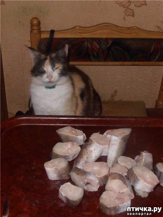 ���� 22: ��������� ��� ������ ����� ����