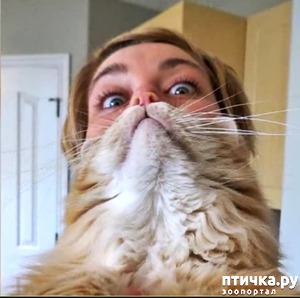 ����: ����� �������������� �����