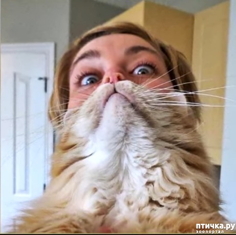 ���� 1: ����� �������������� �����