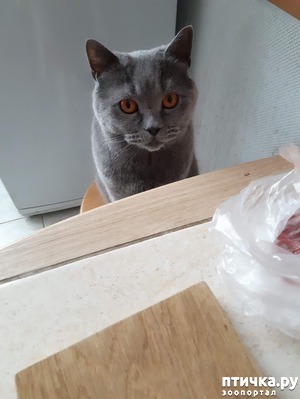 ����: �� � �����