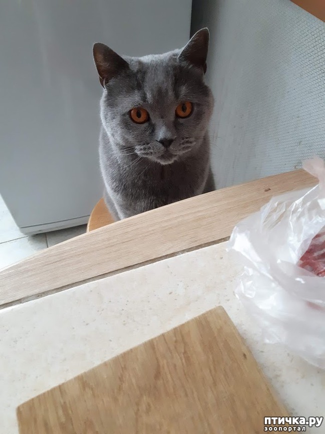 ���� 1: �� � �����