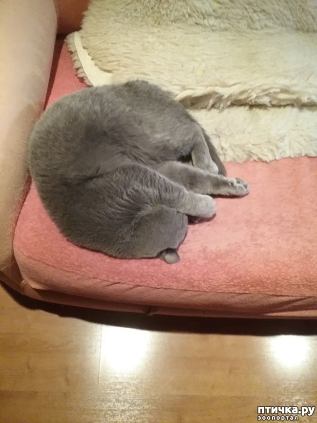 ���� 2: �� � �����