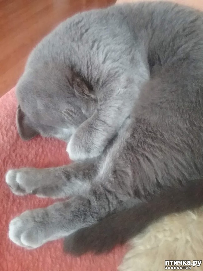 ���� 3: �� � �����