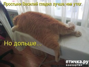 ����: ��������� ��� ������ ����� ����