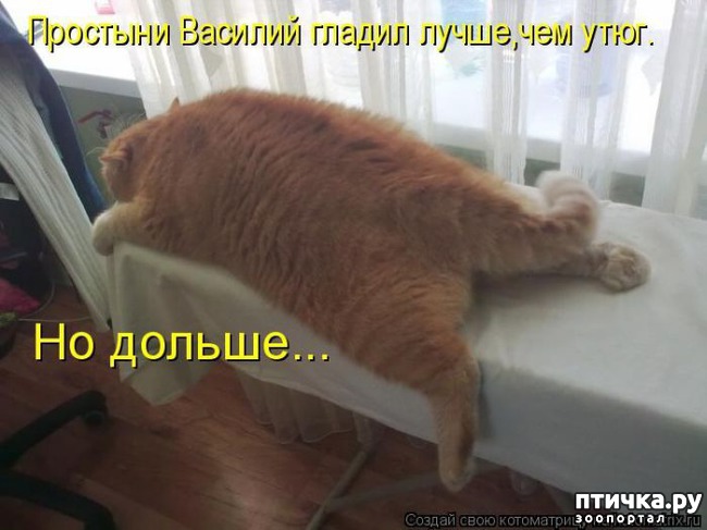 ���� 1: ��������� ��� ������ ����� ����