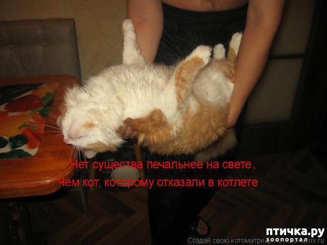 ���� 2: ��������� ��� ������ ����� ����