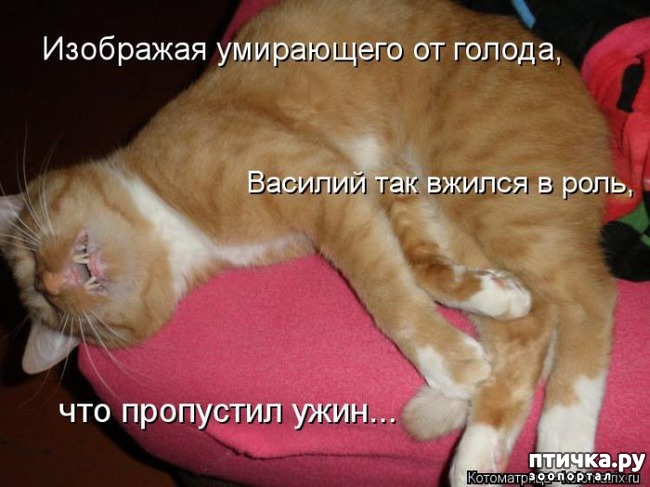 ���� 4: ��������� ��� ������ ����� ����