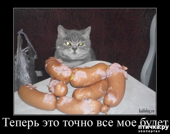 ���� 6: ��������� ��� ������ ����� ����