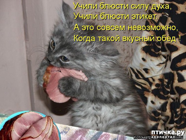 ���� 7: ��������� ��� ������ ����� ����