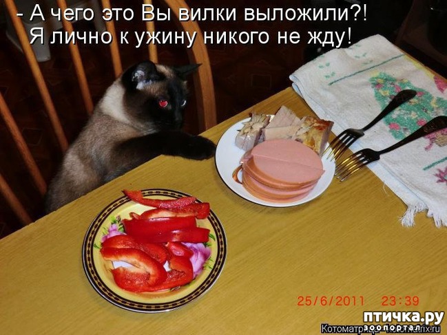 ���� 9: ��������� ��� ������ ����� ����