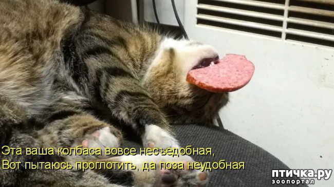 ���� 10: ��������� ��� ������ ����� ����