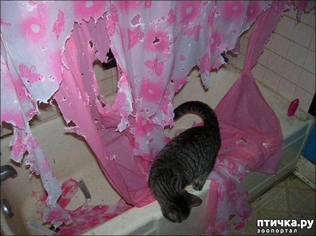 ���� 2: ��, ���������, ����...