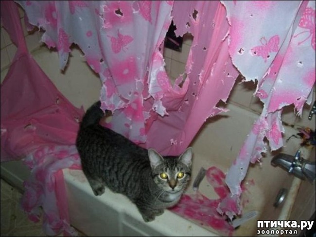 ���� 3: ��, ���������, ����...