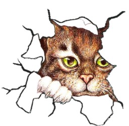 ���� 1: ��, ���������, ����...