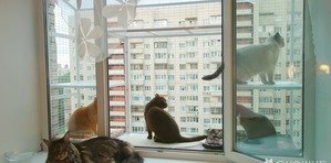 ����: ������ ����� ����� ������ � ����?