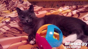 ����: ����� ������