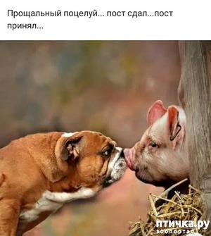 ����: ���� ����