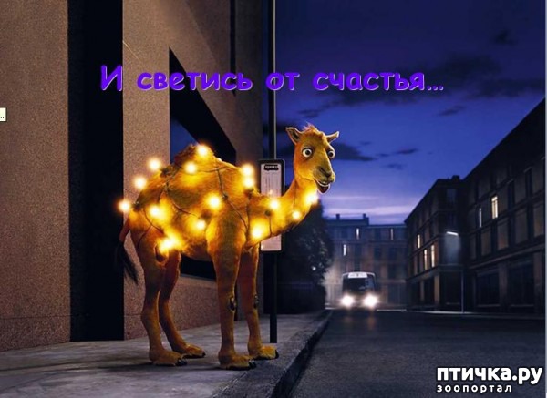 ���� 7: � ����� �����! ���������)