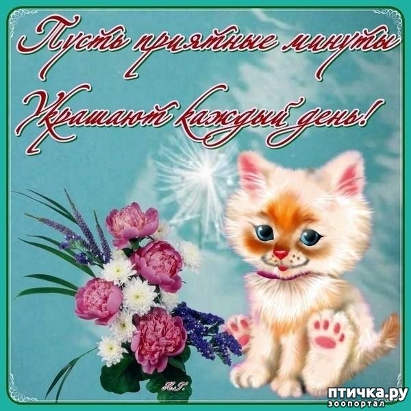 ���� 2: � ����� �����! ���������)