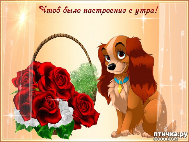 ���� 3: � ����� �����! ���������)