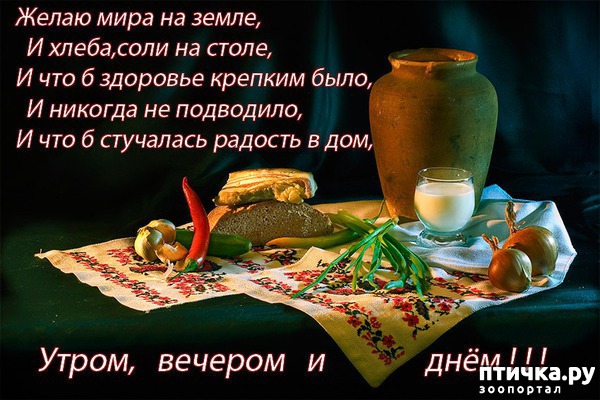 ���� 4: � ����� �����! ���������)