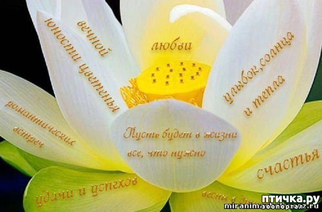 ���� 6: � ����� �����! ���������)