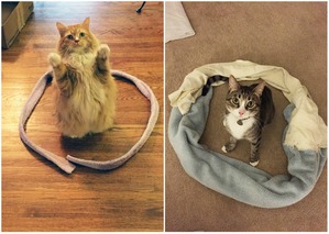 ����: ������� � �����: ��� ��������� ���� ���� ����������