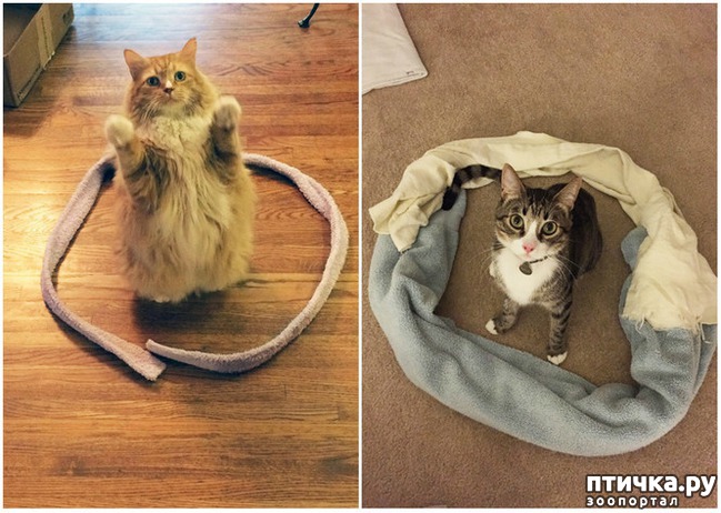 ���� 2: ������� � �����: ��� ��������� ���� ���� ����������