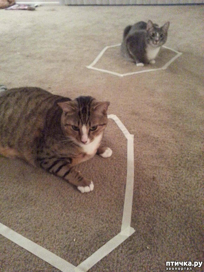 ���� 4: ������� � �����: ��� ��������� ���� ���� ����������