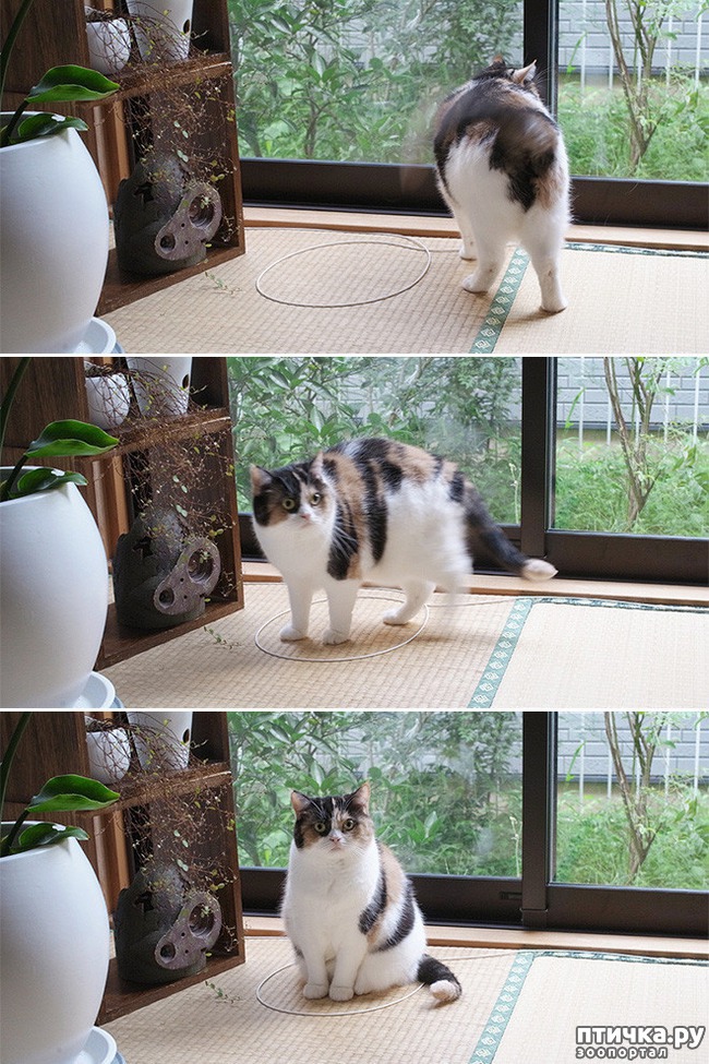 ���� 6: ������� � �����: ��� ��������� ���� ���� ����������