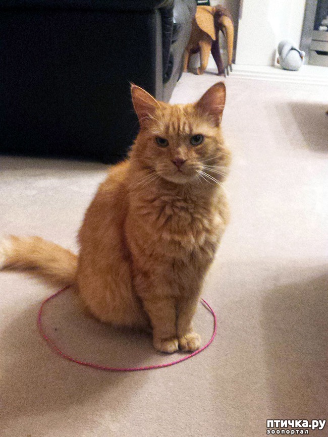 ���� 8: ������� � �����: ��� ��������� ���� ���� ����������