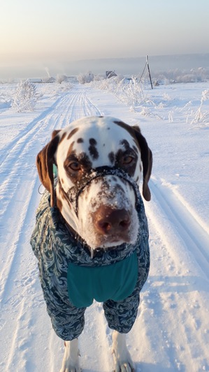 ����: �����, ������ � ���������.