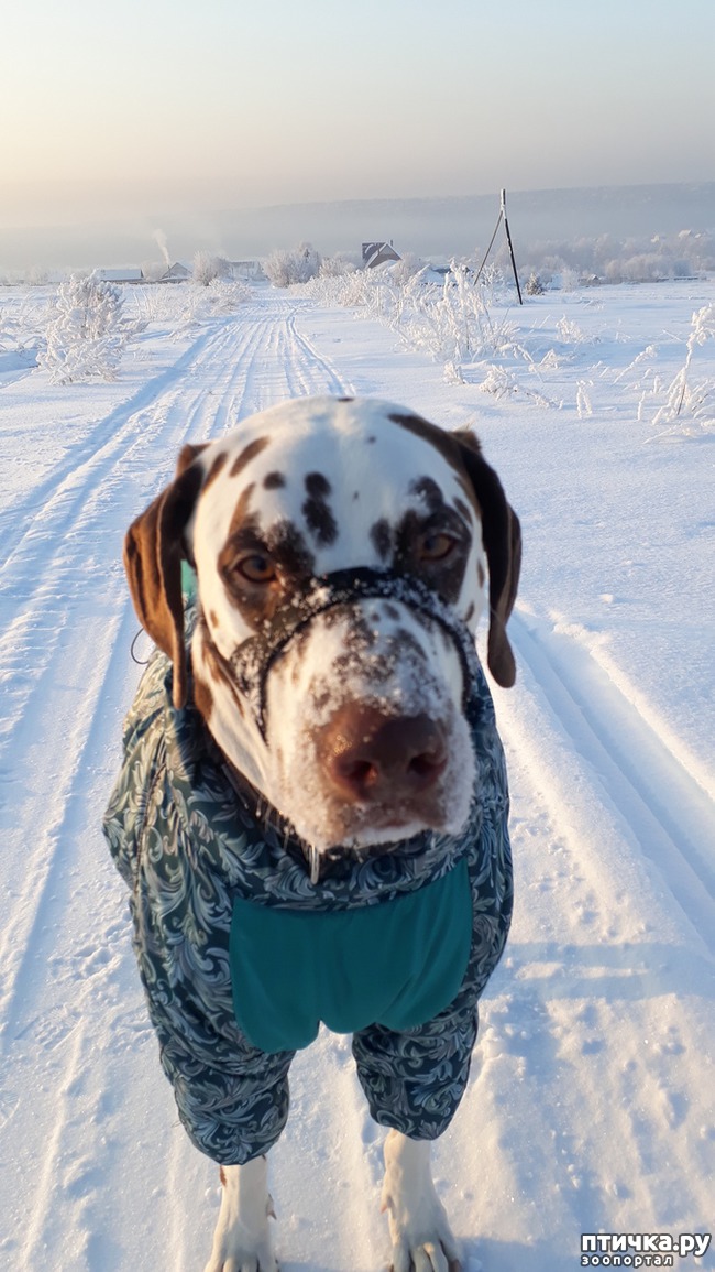 ���� 1: �����, ������ � ���������.