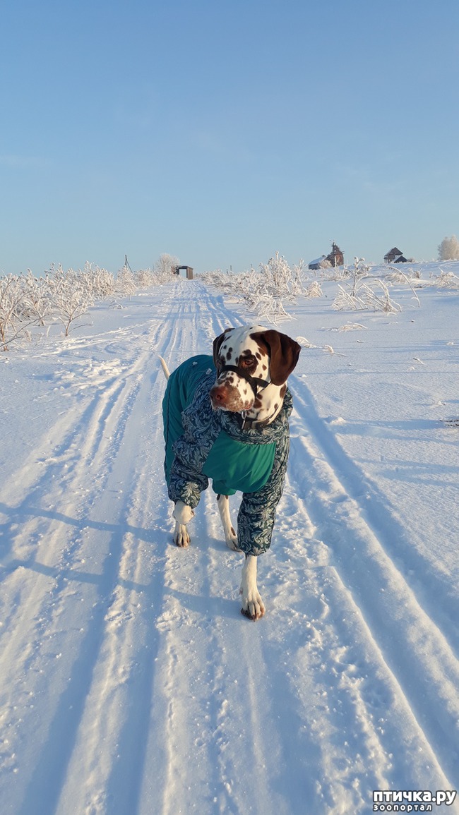 ���� 2: �����, ������ � ���������.