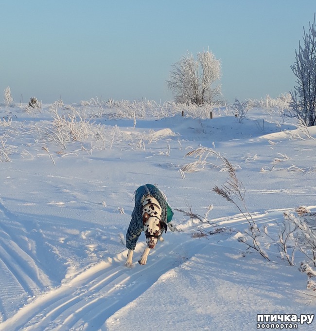 ���� 3: �����, ������ � ���������.