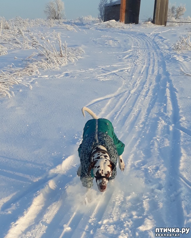 ���� 4: �����, ������ � ���������.