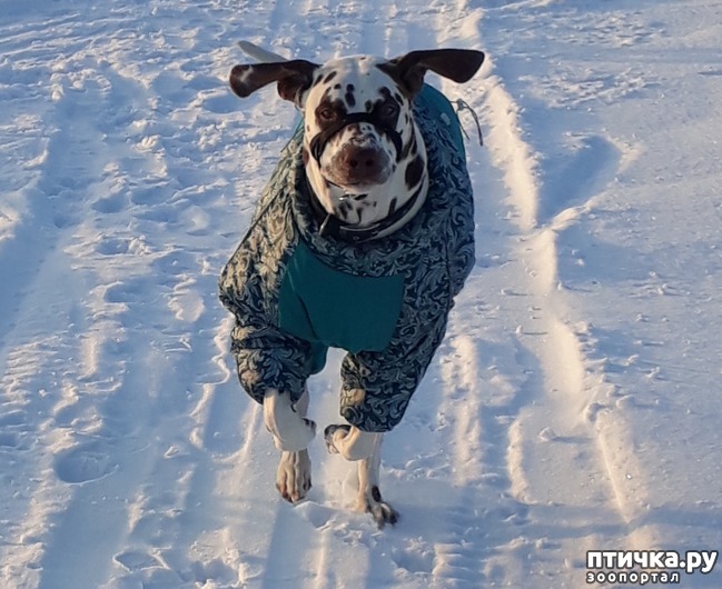 ���� 5: �����, ������ � ���������.