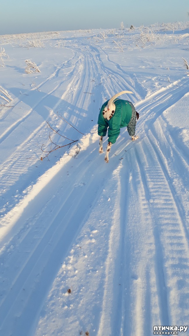 ���� 6: �����, ������ � ���������.