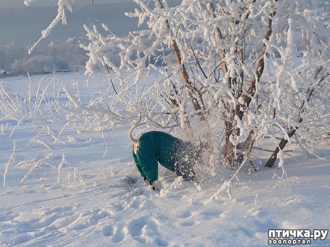 ���� 7: �����, ������ � ���������.