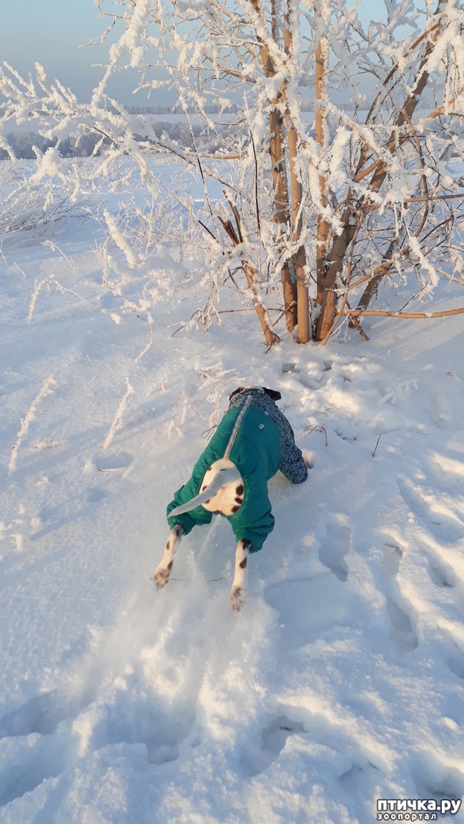 ���� 8: �����, ������ � ���������.