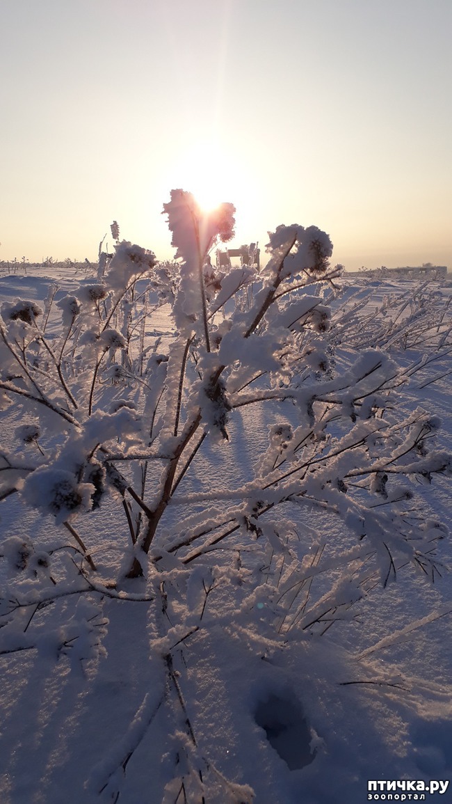 ���� 9: �����, ������ � ���������.