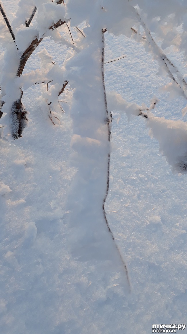 ���� 10: �����, ������ � ���������.