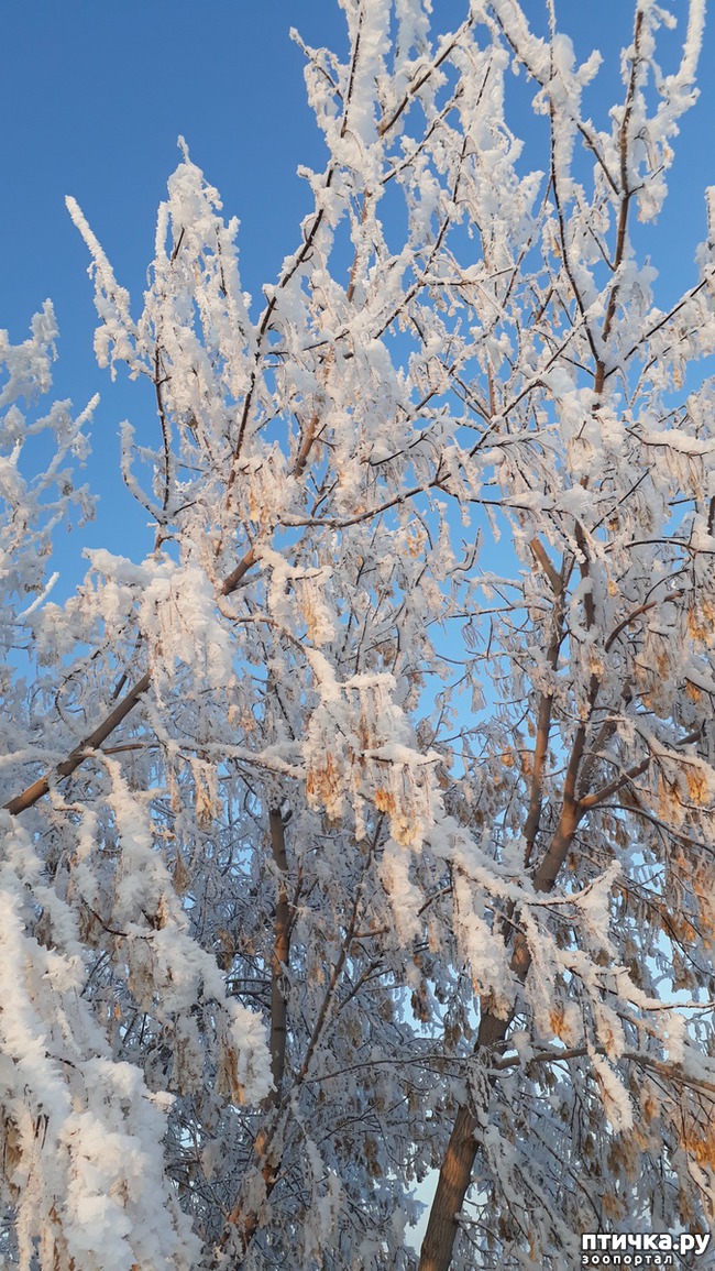 ���� 11: �����, ������ � ���������.