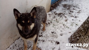 ����: ��������� �����