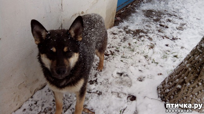 ���� 1: ��������� �����