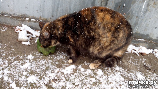 ���� 2: ��������� �����