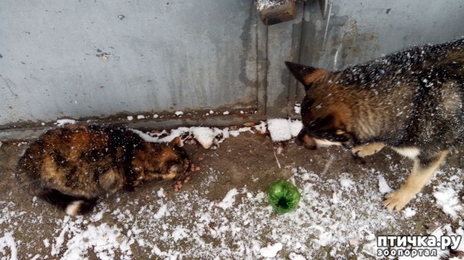 ���� 3: ��������� �����